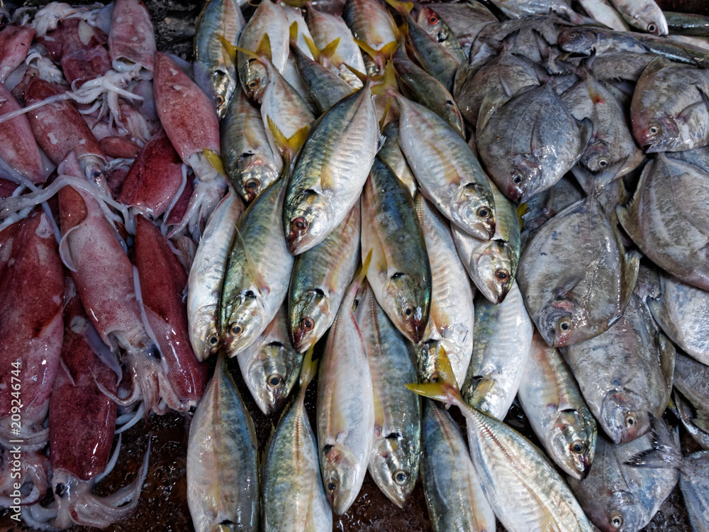 Obraz premium Frische Fische auf einem Markt in Südostasien / Vietnam