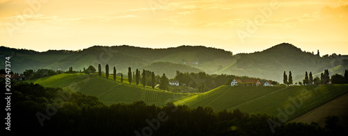Canvas Print Panorama of Styrian vineyard in Austria