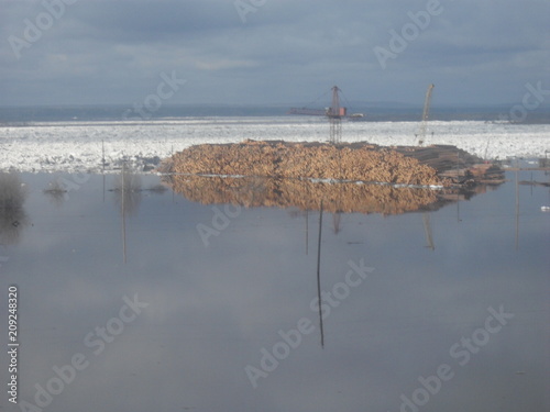 Angara river flooded logs