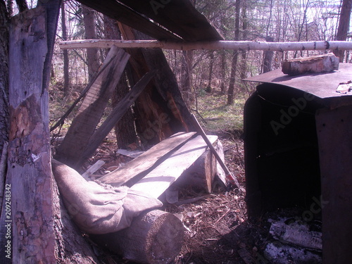 BENCH IN THE FOREST