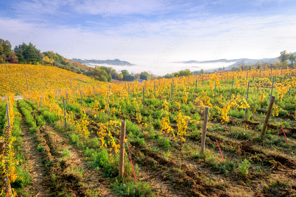 Tuscan Hills