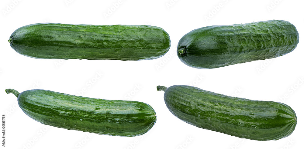 Fresh cucumber isolated on white background with clipping path Fresh cucumber isolated on white background with clipping path