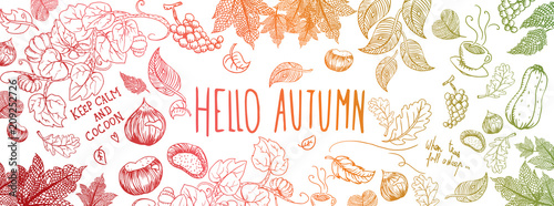 Autumn doodles background