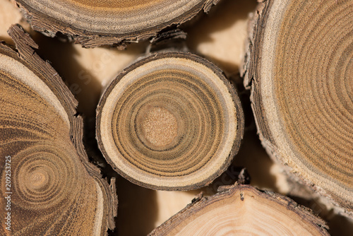 Sandalwood core macro photo