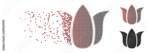 Vector tulip flower icon in sparkle, dotted halftone and undamaged whole versions. Disappearing effect involves rectangle scintillas and horizontal gradient from red to black.