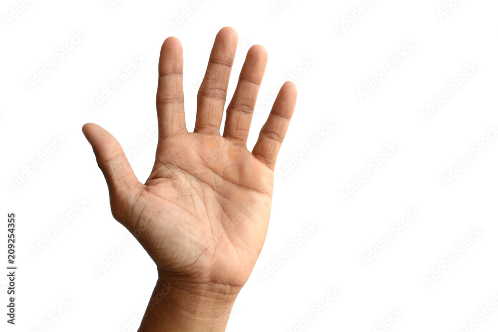 Empty hand holding isolated on the white background. Empty hand holding isolated on the white background.