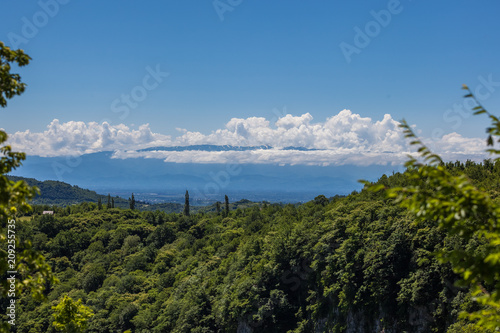 Zeda-gordi  Georgia. Forest of Okatse canion.Georgia