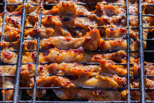 Grilled chicken in the garden. Barbeque.