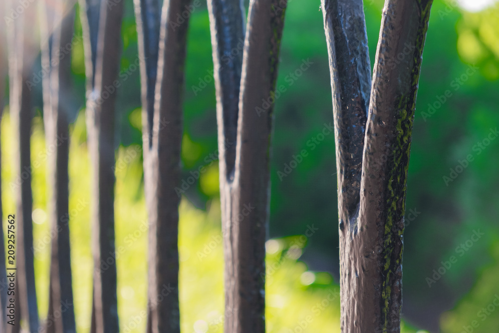Beautiful wrought iron fence Beautiful wrought iron fence