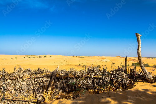désert africain © ALF photo