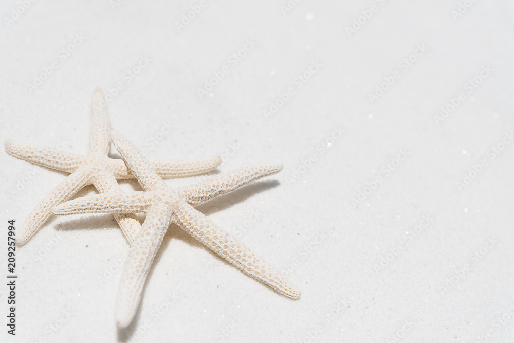 couple of beautiful starfish on Sandy beach background background for summer holiday and vacation concept. couple of beautiful starfish on Sandy beach background background for summer holiday and vacation concept.