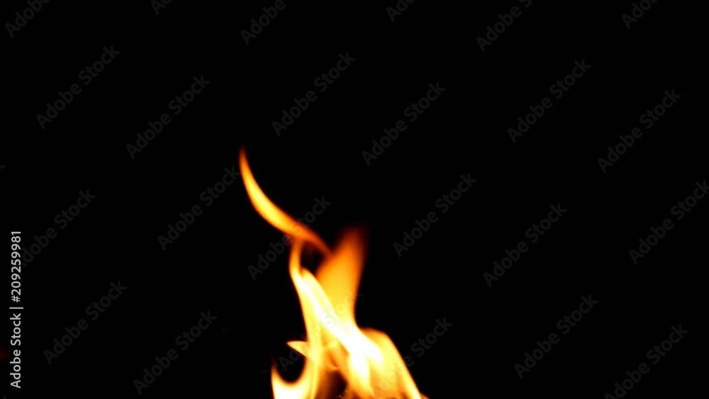 Fire Flames - Slow Motion.Real flames ignite on a black background. Real fire. Transparent background. PNG + Alpha channel Fire Flames - Slow Motion.Real flames ignite on a black background. Real fire. Transparent background. PNG + Alpha channel