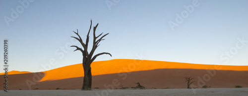 Cuadro en lienzo Sossusvlei dunes at Dead Vlei