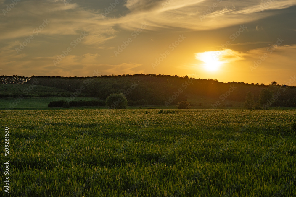 landscape. colorful evening.