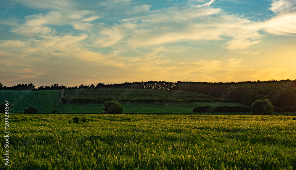 Fototapeta premium landscape. colorful evening.