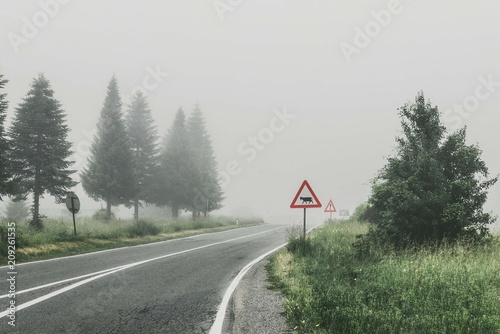 Morning landscape of mountain road with foggy weather and traffic sign. Moody road. Mood nature background