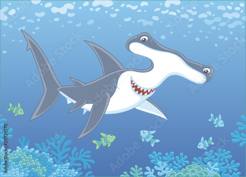 Big hammer-headed shark swimming with small striped fishes over a coral reef in blue water of a tropical sea, vector illustration in a cartoon style