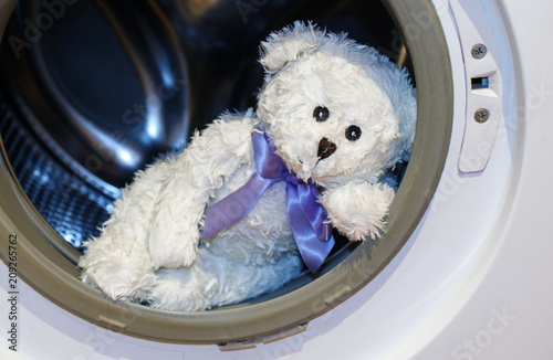 White teddy bear lies in the washing machine