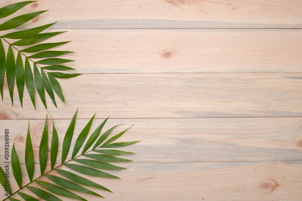Palma leafs on light wood background with copy space Palma leafs on light wood background with copy space