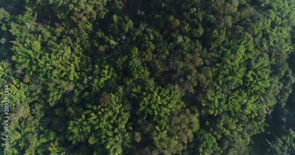 Aerial View flying over forest in Thailand Aerial View flying over forest in Thailand