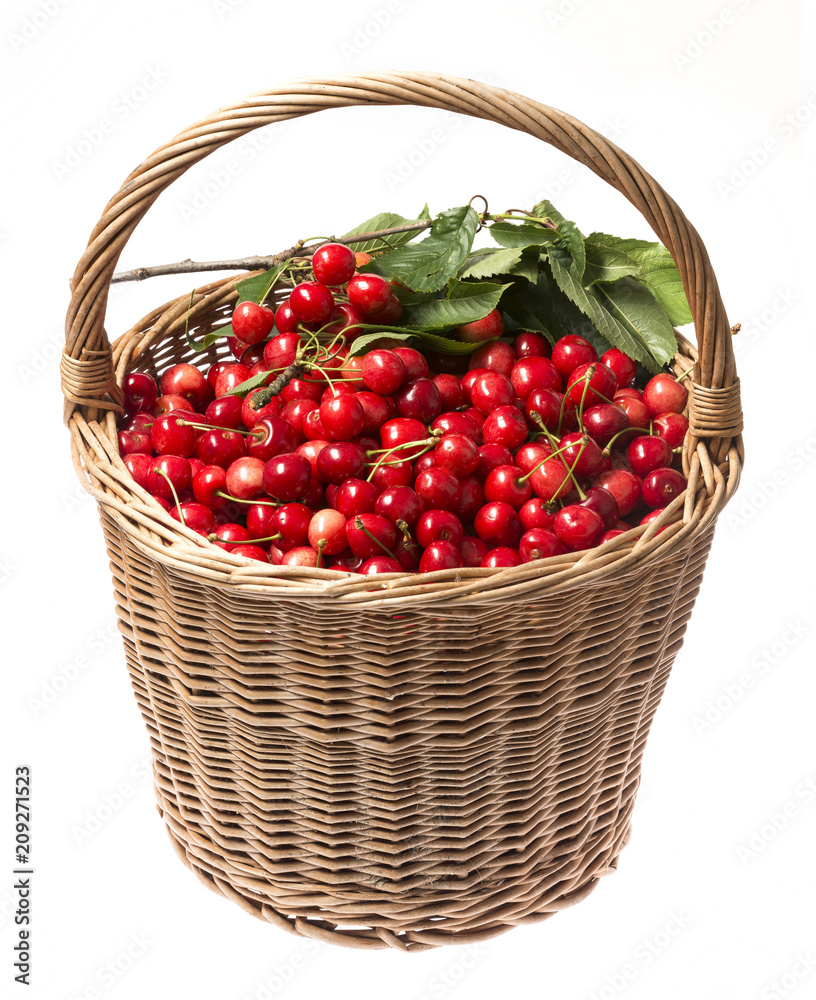 fresh red cherries in a basket on a white background fresh red cherries in a basket on a white background