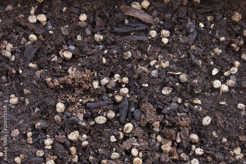 quality dirt for flowers quality dirt for flowers