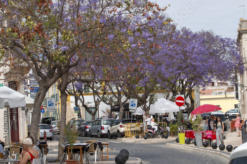 Tourist downtown area of Faro city