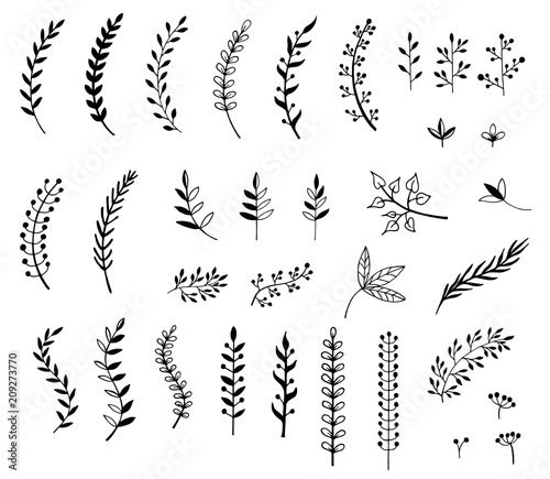 Hand drawn illustration of branches and leaves. Design elements