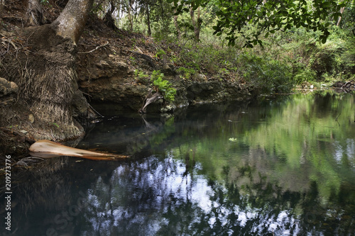 Natural Park El Cubano near Trinidad. Cuba