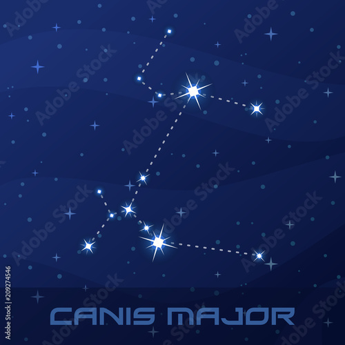 Constellation Canis Major, Great Dog, night star sky