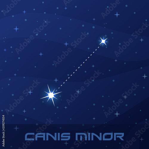 Constellation Canis Minor, Lesser Dog, night star sky
