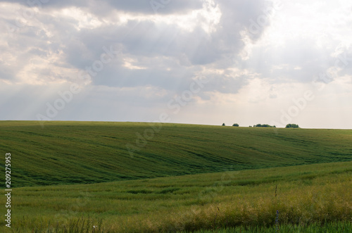 Landscape view of green fields and clouds in the summer season