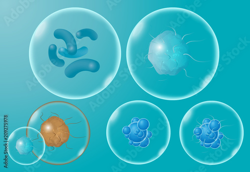 Realistic microscopic viruses and bacteria isolated vector set. Bacterium and microorganism illustration