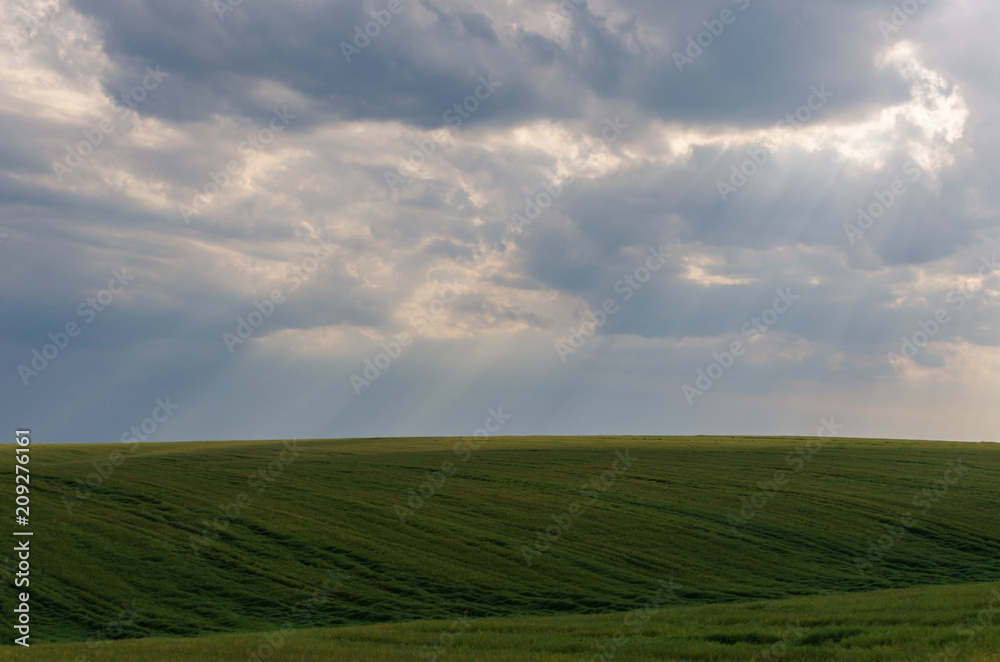 Landscape view of green fields and clouds in the summer season