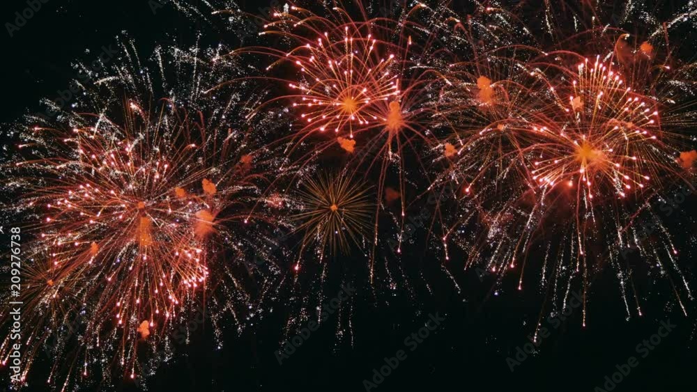 firework on night sky