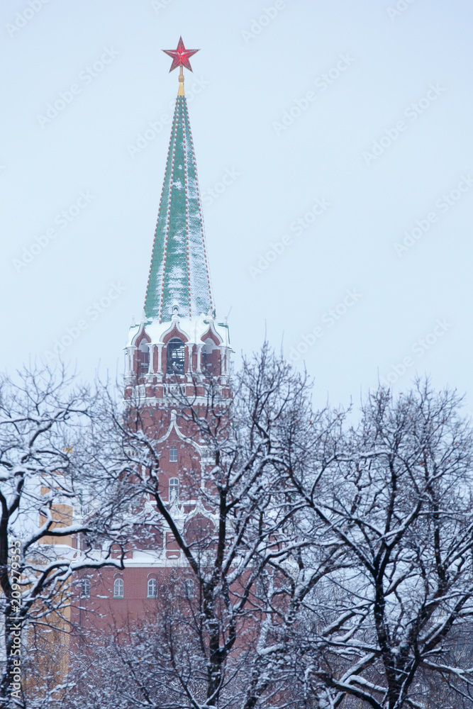 Troitskaya Trinity tower of Moscow Kremlin, topped with a red star, view through the desert winter park