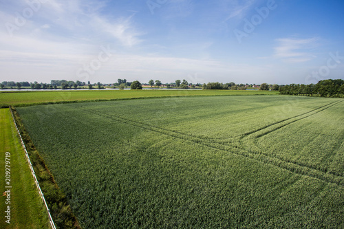 Aerial view of agricultural fields in the Netherlands