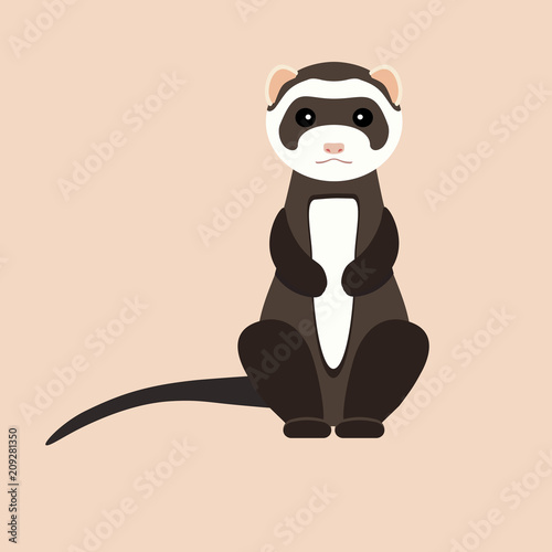 Gray ferret in full growth sits. Vector flat design illustration.