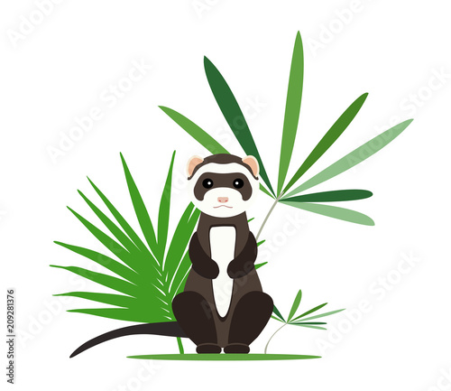 Gray ferret in full growth sits in tropical leaves. Vector illustration.