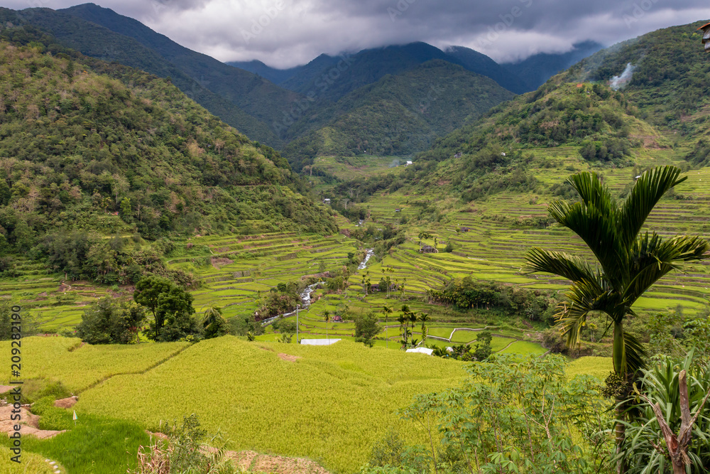 Spectacular rice terraces in a narrow valley surrounded by tall mountains and low hanging cloud (Hapao, Banaue, Philippines)