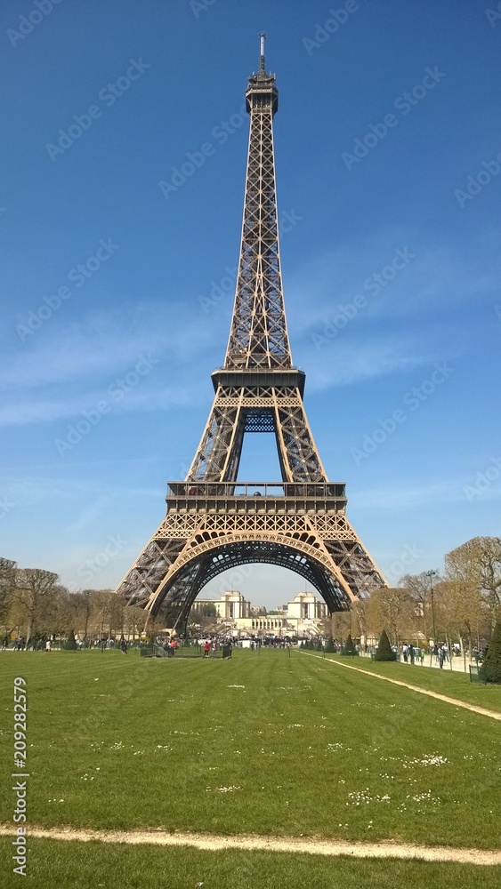 Eiffelturm im Grünen