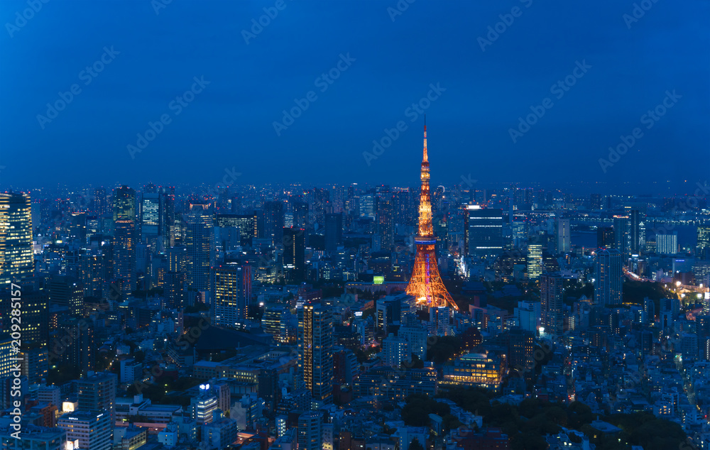 Fototapeta premium 東京風景・大都会の夜景