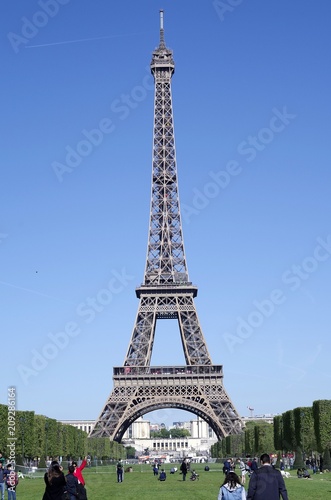 Fototapeta Naklejka Na Ścianę i Meble -  Eiffel Tower-1