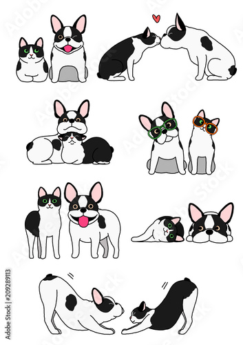 set of cat and dog pairs