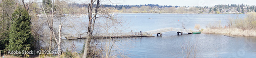 Boardwalk through wetlands on Lake Washington photo