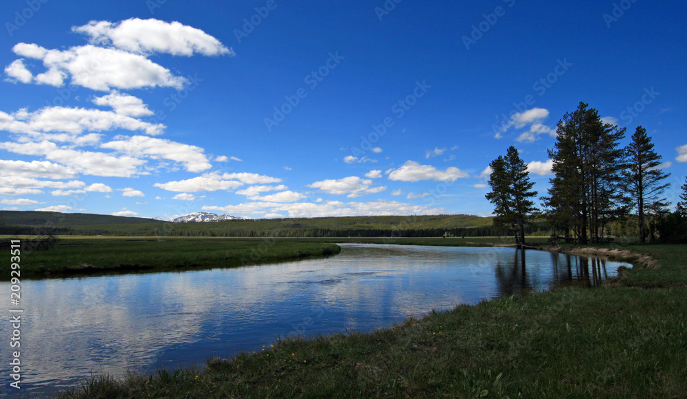 Obraz premium Gibbon River streaming through Gibbon Meadows in Yellowstone National Park in Wyoming United States