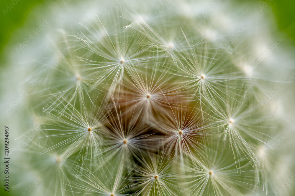 Up close Up close
