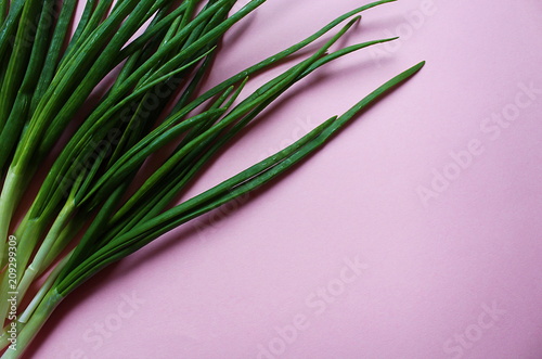fresh green juicy onion with long feathers