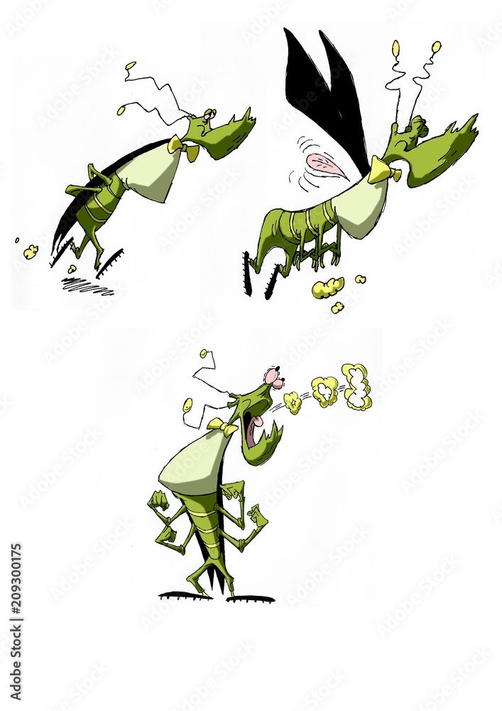 Fototapeta premium beetle