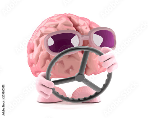 Vector 3d Brain steers
